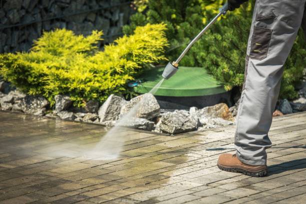 Best Warehouse Cleaning  in Virginia Gardens, FL